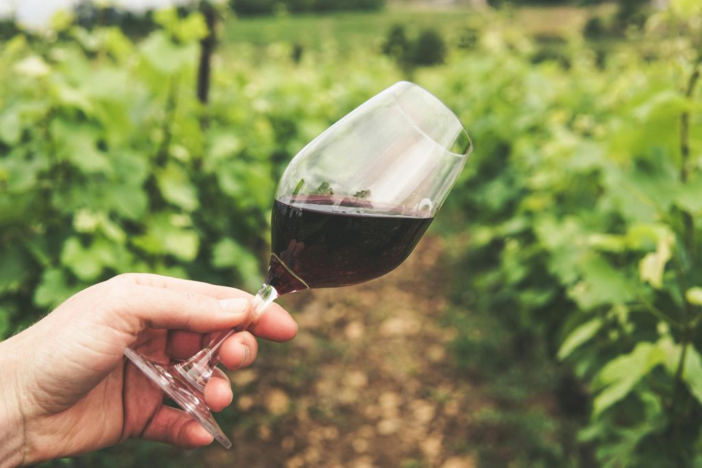 Verre de vin dans les vignes